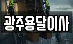 광주용달이사