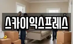 스카이익스프레스