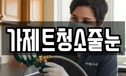 가제트청소줄눈