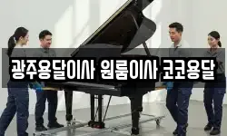 광주용달이사 원룸이사 코코용달