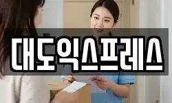 대도익스프레스