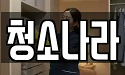 청소나라