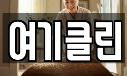 여기클린