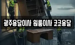 광주용달이사 원룸이사 코코용달