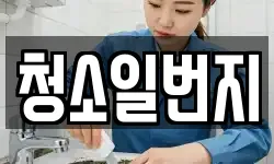 청소일번지