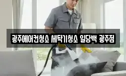 광주에어컨청소 세탁기청소 일당백 광주점