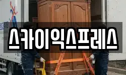 스카이익스프레스
