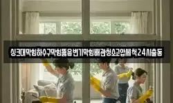 싱크대막힘하수구막힘뚫음변기막힘배관청소고압세척24시출동