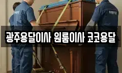 광주용달이사 원룸이사 코코용달