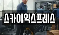 스카이익스프레스