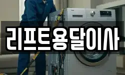 리프트용달이사