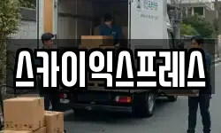 스카이익스프레스