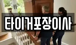 타이거포장이사