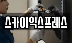 스카이익스프레스