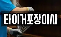 타이거포장이사
