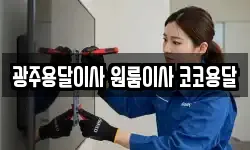 광주용달이사 원룸이사 코코용달