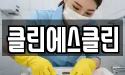클린에스클린