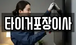 타이거포장이사