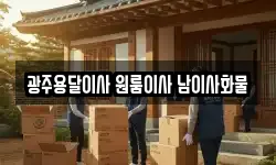 광주용달이사 원룸이사 남이사화물