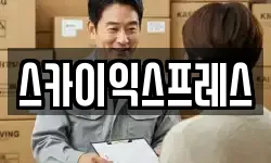 스카이익스프레스
