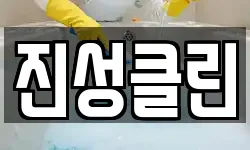 진성클린