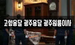 고향용달 광주용달 광주원룸이사