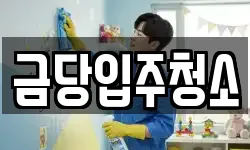금당입주청소