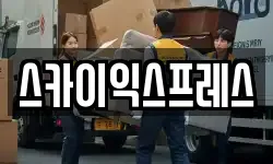 스카이익스프레스