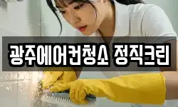 광주에어컨청소 정직크린