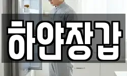 하얀장갑