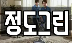 정도그린