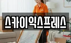 스카이익스프레스