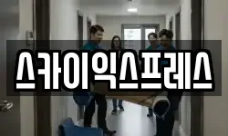 스카이익스프레스