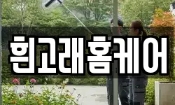 흰고래홈케어