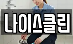 나이스클린