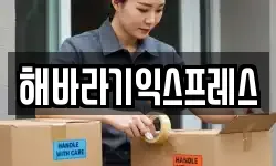 해바라기익스프레스