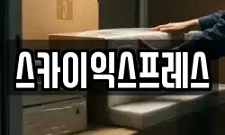 스카이익스프레스
