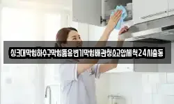 싱크대막힘하수구막힘뚫음변기막힘배관청소고압세척24시출동