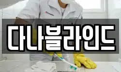 다나블라인드