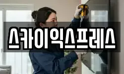 스카이익스프레스