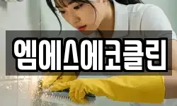 엠에스에코클린