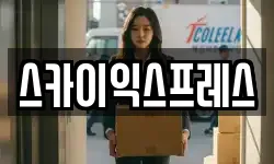 스카이익스프레스