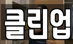 클린업
