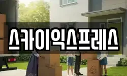 스카이익스프레스