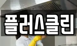 플러스클린