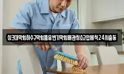 싱크대막힘하수구막힘뚫음변기막힘배관청소고압세척24시출동
