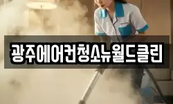 광주에어컨청소뉴월드클린