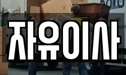 자유이사
