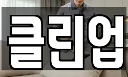 클린업