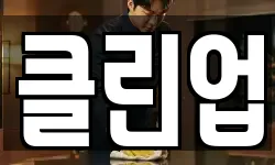 클린업